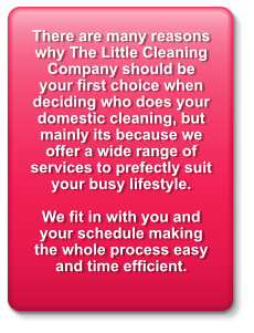 There are many reasons why The Little Cleaning Company should be your first choice when deciding who does your domestic cleaning, but mainly its because we offer a wide range of services to prefectly suit your busy lifestyle.  We fit in with you and your schedule making the whole process easy and time efficient.